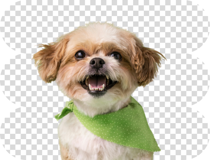 Image with background removed